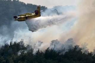 Le parc national de Dadia, dans l'est de la Grèce, est en feu depuis près de deux semaines. Selon les estimations de Bruxelles, il s'agit du plus grand incendie de forêt jamais enregistré dans l'Union européenne.